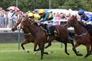 Race 1 - Dark Tulip (8)