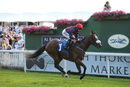 Race 1 - Dejame Paso (4)