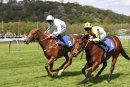 Race 1 - Delft Dancer (11)