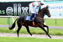 Race 1 (19/10) - Deputys Oscar (3)