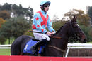 Race 1 (19/10) - Deputys Oscar (4)