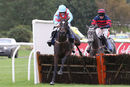 Race 1 (19/10) - Deputys Oscar (6)