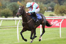 Race 1 (19/10) - Deputys Oscar (8)