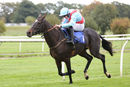 Race 1 (19/10) - Deputys Oscar (10)