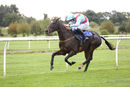Race 1 (19/10) - Deputys Oscar (11)
