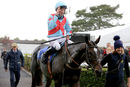 Race 1 (19/10) - Deputys Oscar (12)
