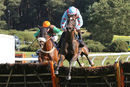 Race 1 - Deputys Oscar (4)