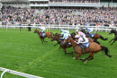 Race 1 - Desert Law (18)