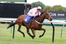 Race 1 - Destinys Rock (7)
