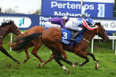 Race 1 - Doddies Impact (6)