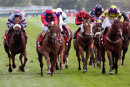 Race 1 - Duke Of Firenze (8)