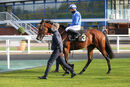 Race 1 - Eshaada (12)