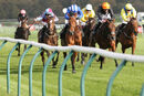 Race 1 - Eshaada (3)