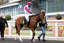 Race 1 - Fabiosa (2)