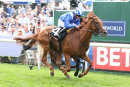 Race 1 - Fidaawy (4)