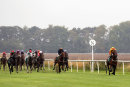 Race 1 - Five Amarones (2)
