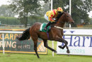 Race 1 - Five Amarones (4)