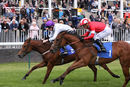Race 1 - Flaming Princess (9)