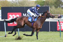 Race 1 - Flaming Rib (11)