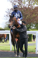 Race 1 - Flaming Rib (12)