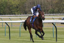 Race 1 - Flaming Rib (4)