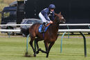 Race 1 - Flaming Rib (5)