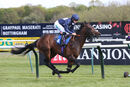 Race 1 - Flaming Rib (8)