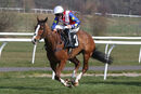 Race 1 - Forever Des Long (6)