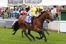 Race 1 - Gaassee (4)