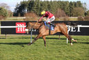 Race 1 - Garrettstown (11)