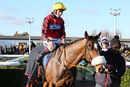 Race 1 - Garrettstown (12)