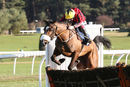 Race 1 - Garrettstown (5)
