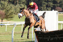 Race 1 - Garrettstown (6)