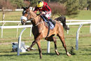 Race 1 - Garrettstown (7)