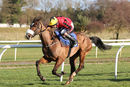 Race 1 - Garrettstown (8)