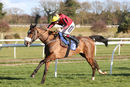 Race 1 - Garrettstown (9)
