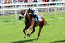 Race 1 - Get Knotted (2)