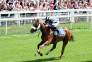 Race 1 - Get Knotted (3)