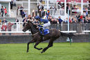 Race 1 - Go Well Spicy (11)