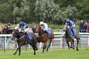Race 1 - Go Well Spicy (3)