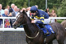 Race 1 - Go Well Spicy (6)