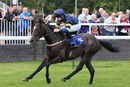 Race 1 - Go Well Spicy (7)