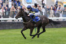 Race 1 - Go Well Spicy (8)