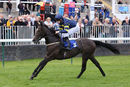 Race 1 - Go Well Spicy (9)