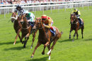 Race 1 - Golden Stunner (2)