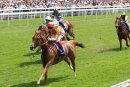 Race 1 - Golden Stunner (6)