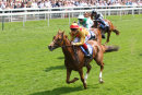 Race 1 - Golden Stunner (7)