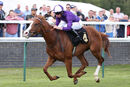 Race 1 - Golden Warrior (8)