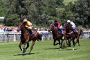 Race 1 - Great Prospector (4)