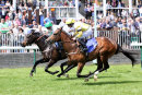 Race 1 - Green Power (12)